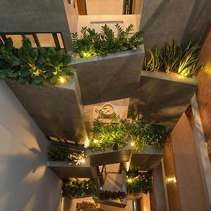 Shelter Stay Da Nang